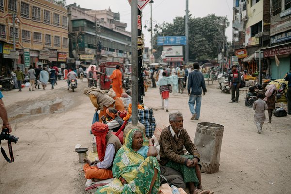Explorez la nature : votre manuel essentiel pour organiser une randonnée mémorable à la découverte des plantes comestibles